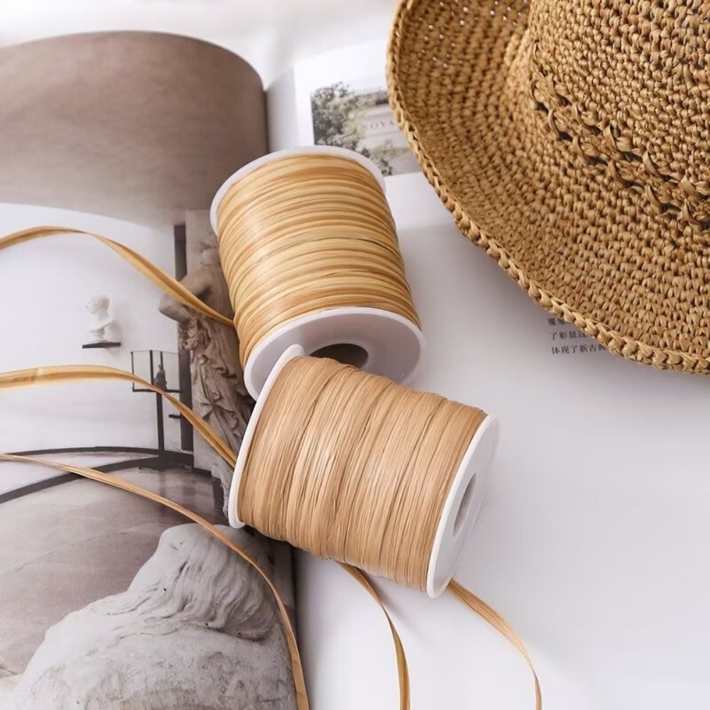 Premium-Qualität 120M Pro Roll – Crochet Bag Raffia Bewertung und Preis